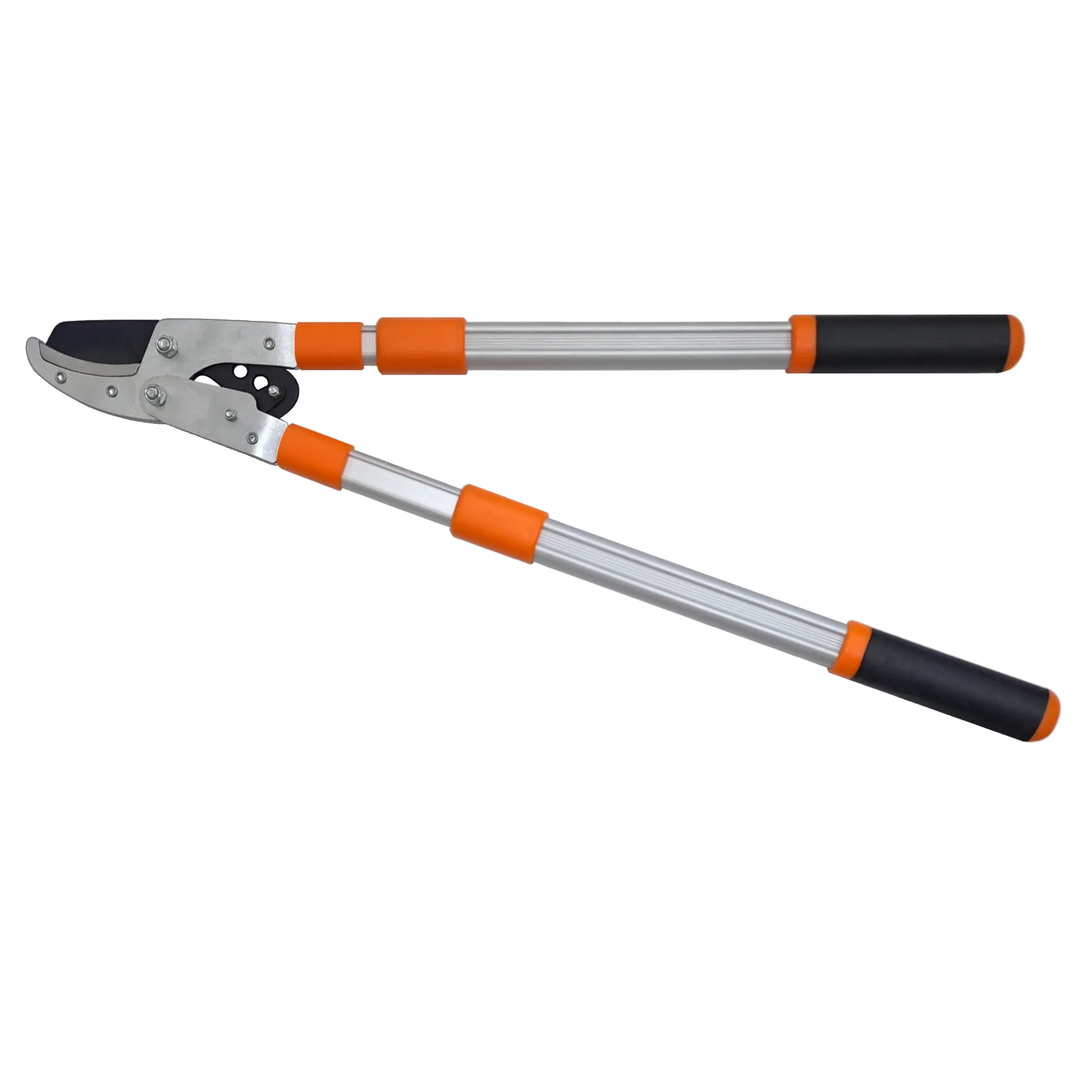 Taiwan Supplier Hc-3121Tw Compound-Action Anvil Lopper Garden Pruning Shears Cutter Long Handle