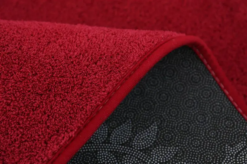 Solid Color Carpets and Rugs Living Room Nordic Cashmere Microfiber Rug Absorbent Fluffy Rugs