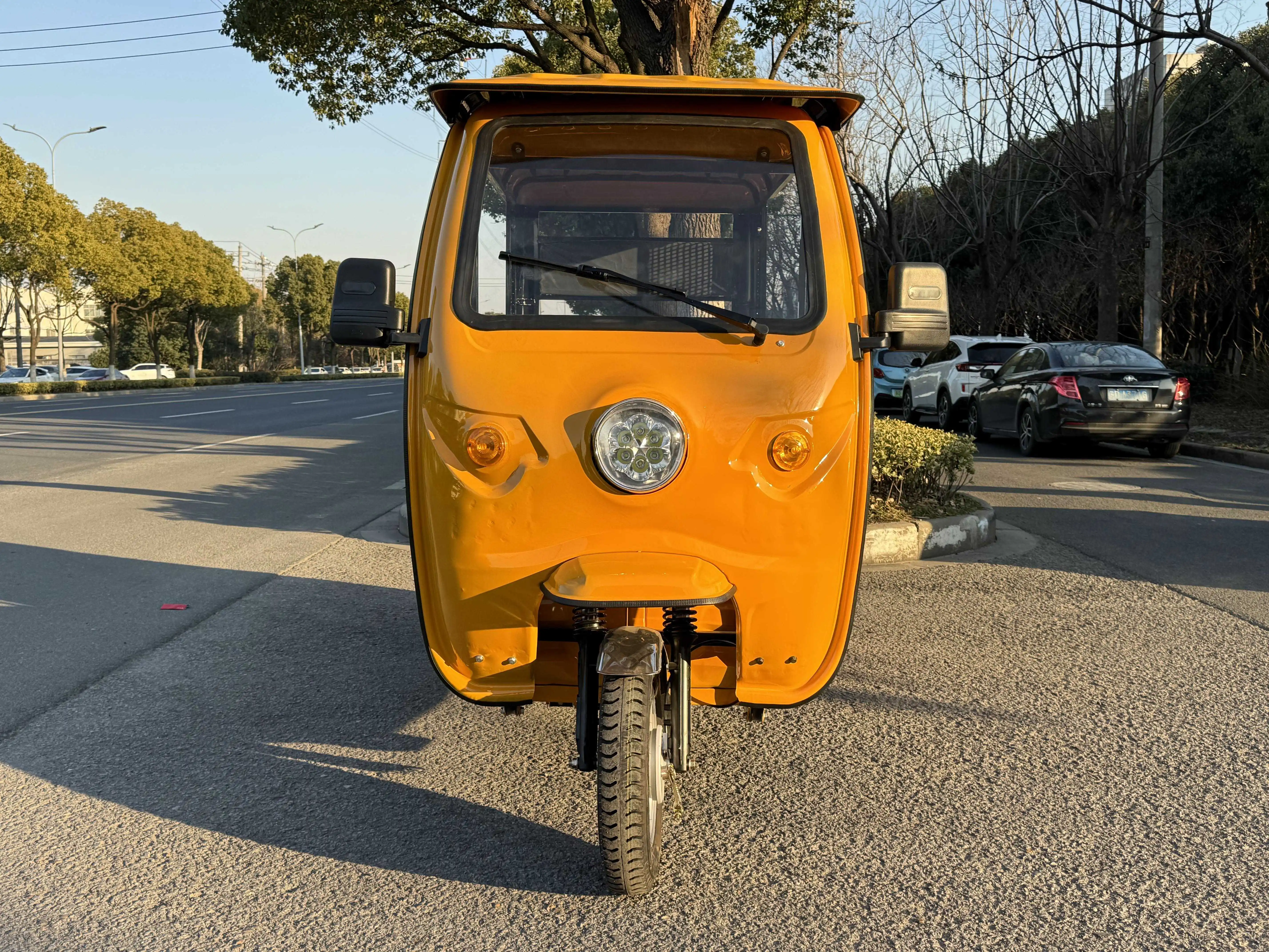 ZK3WV Electric Adult Tricycle Fatbike From China  Motorcycle Custom Magnet Body Steel Motor Power Bicycle Wheel Brake Cargo