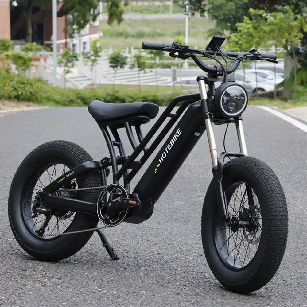 factory Outlet baycle bicycle electric city bike 500w e bikes electric mountain bike motorcycle750w  fat