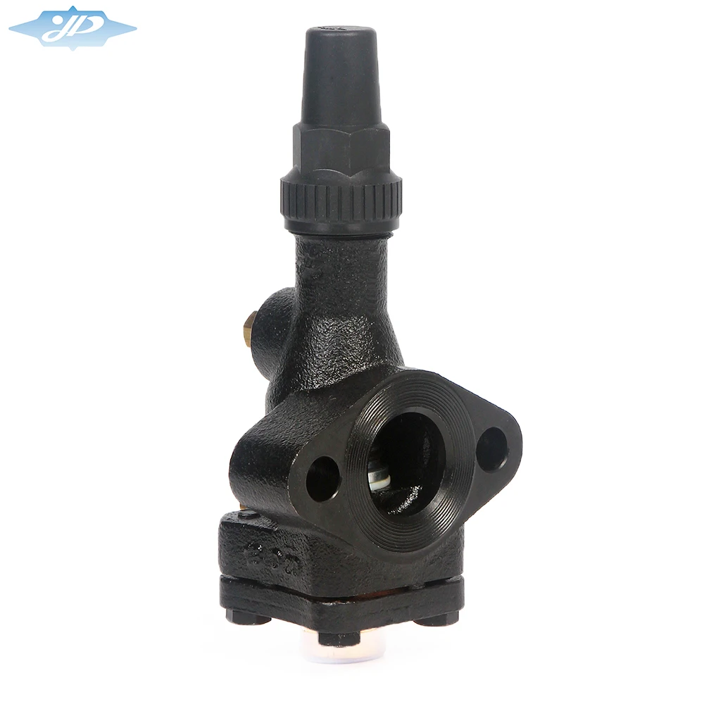 Standardized cast iron compressor service globe valve