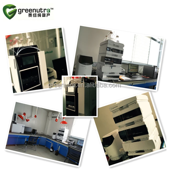 Qualified Bitter melon extract 57126-62-2 with good supplier