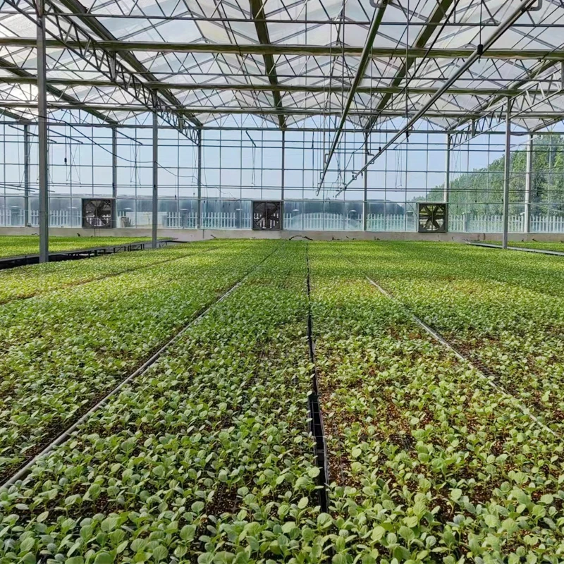 2024 Plastic Germination Seed Tray 98 Cells Seed Nursery Plant Germination Vegetables Flower Growing Tray Garden seedling tray