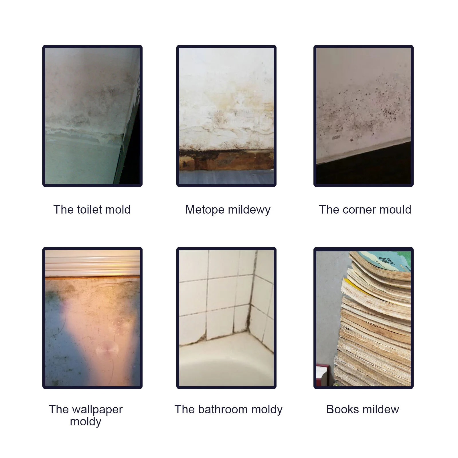 Wholesale hot sale  effective Quickly cleaning mold Mildew Remover Cleaner spray for household