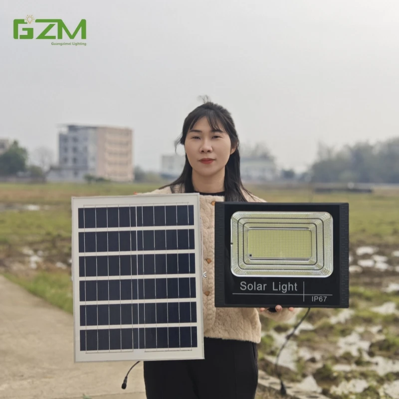 Intelligent induction solar street light 100W200W300W500W ABS body light control switch charging solar LED floodlight