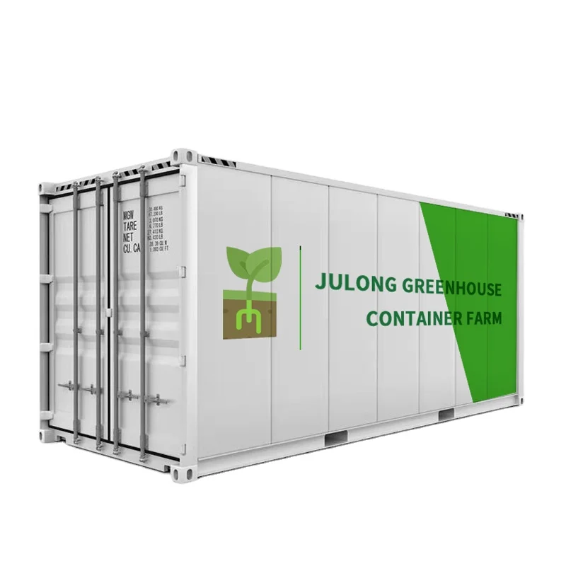 Customized 40ft/20ft Smart Container Shipping Container Farm Vertical Farming Superfarm nft Hydroponic Container Greenhouse