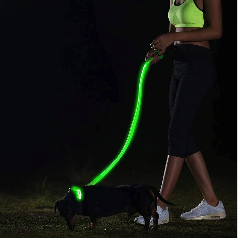 Amazon Hot Selling New Custom USB Rechargeable Flashing Pet Dog Leash Night Walking Safety Dog Leash Led