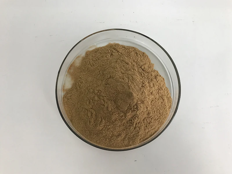 Insen Supply Natural Extract Fenugreek Seed Powder