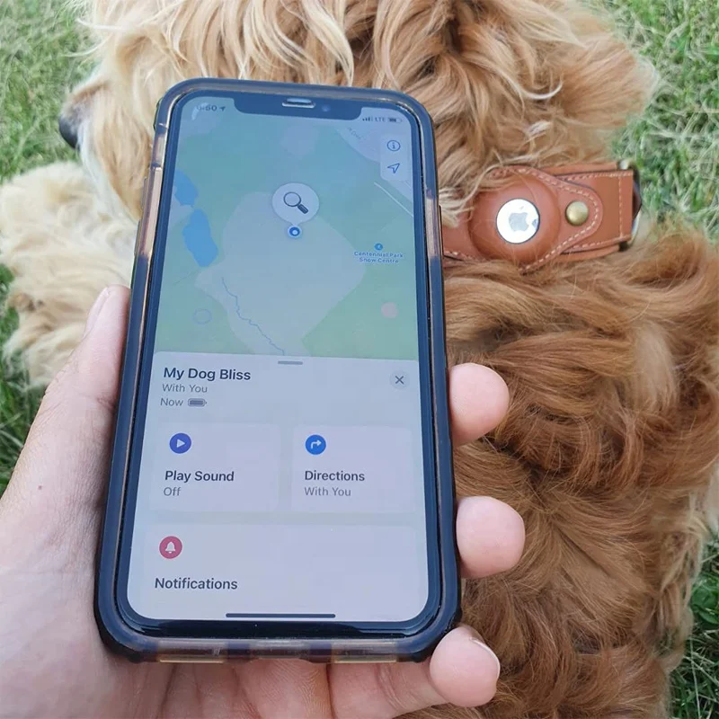 Hot Selling Wholesale Adjustable Pet Accessories Genuine Leather Vintage GPS Tracker Airtag Dog Collar