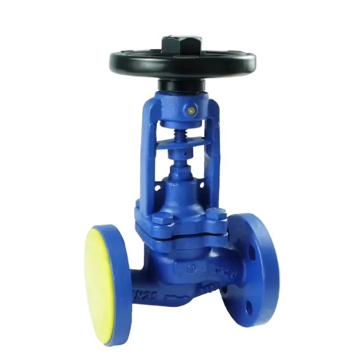 DKV PN16 Bellows Seal Globe Valve Wcb Carbon Steel Bellow Seal Globe Valve Cast Steel Flange Stop Valve