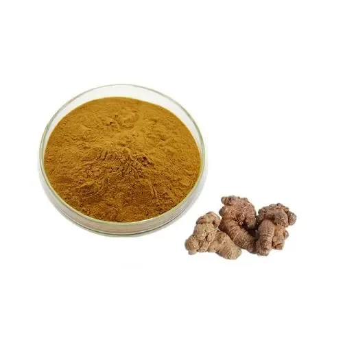 High Quality Radix Notoginseng P.E. pseudo-ginseng extract