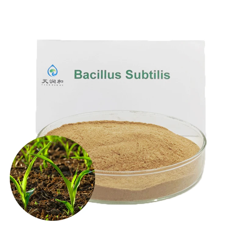 beneficial bacteria for aquaculture agriculture probiotics fertilizer microecology bacillus subtilis