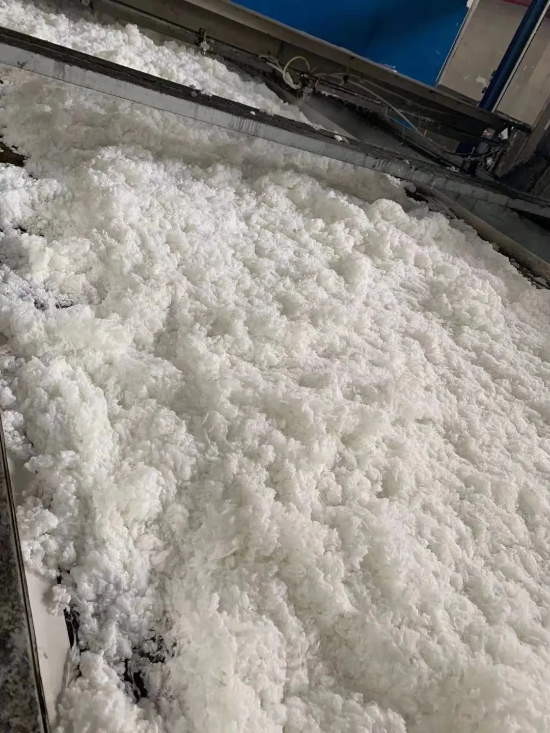 2.5D*51MM Hollow Conjugated Silicon Recycled Polyester Staple Fiber for Filling