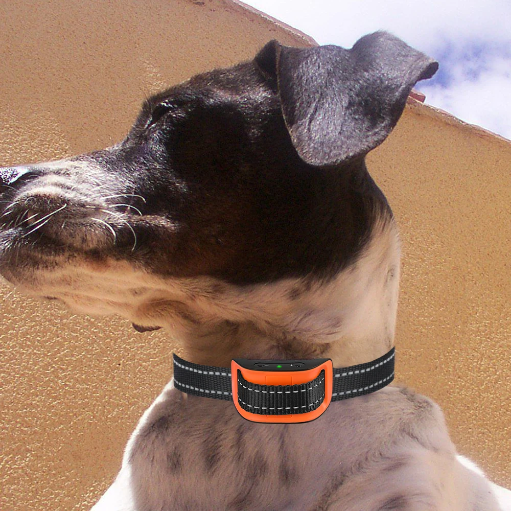 2021 Automatic best collar necklace Pet Training Shock Electric Shock Collar Dog Anti-bark Necklace