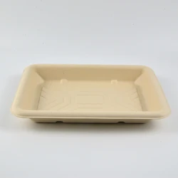 Factory Cheap Price Disposable Biodegradable Fruit Tray Bagasse Pulp Food Container Paper Food Container Tray