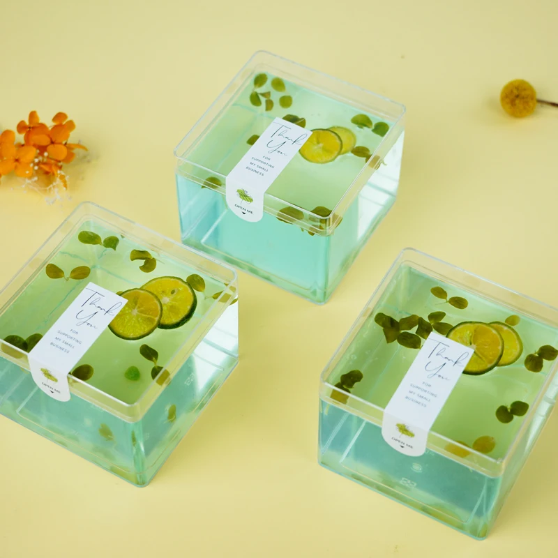Mold Injection Square Box Storage PS Plastic food container Candy Box with clear Lid Pudding Packaging box