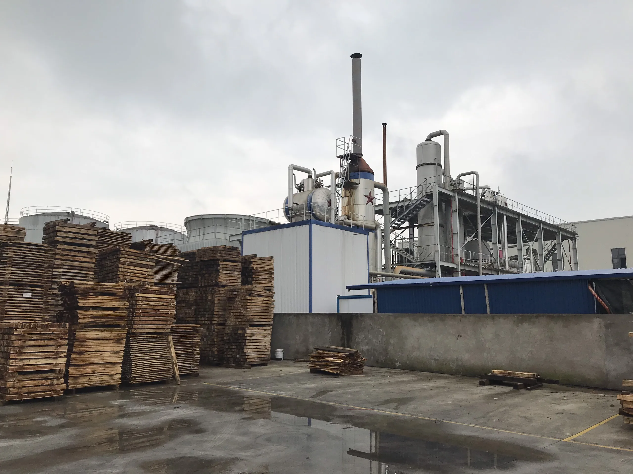 Inspection service for Bamboo straws - Made in Vietnam - Eco-friendly product