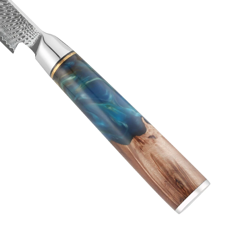 Chef Cooking VG10 67layers Japanese Kitchen Knives Damascus Knife Set Blue Resin Handle Damascus Steel Knife