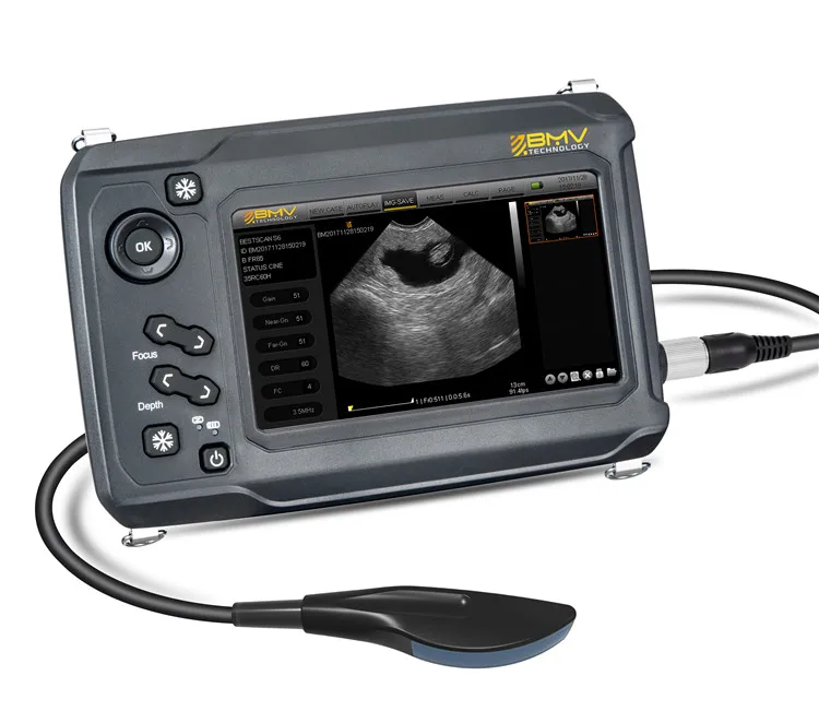  BestScan S6 сенсорный ручной Ветеринарный ультразвуковой сканер ветеринарная ультразвуковая система для большого сканирования