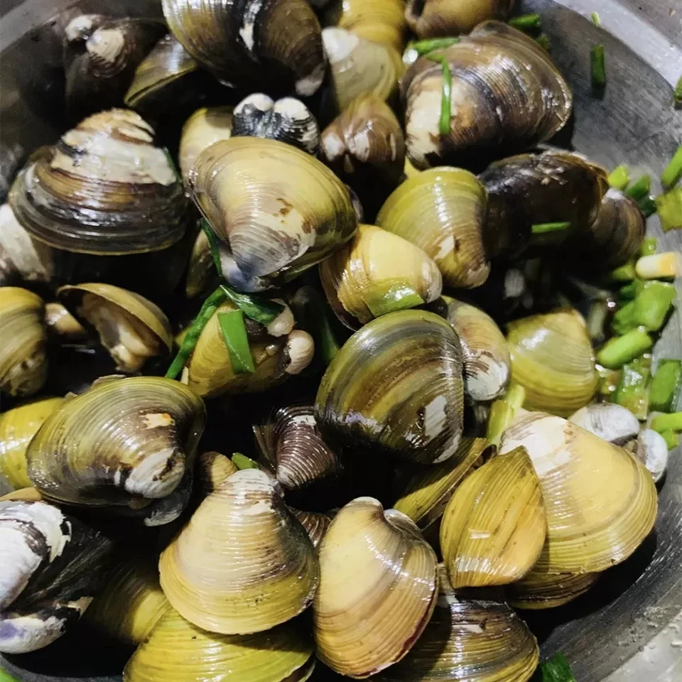 Hot Selling vacuum package Bulk Frozen Tasted delicious High Quality river clam Meat