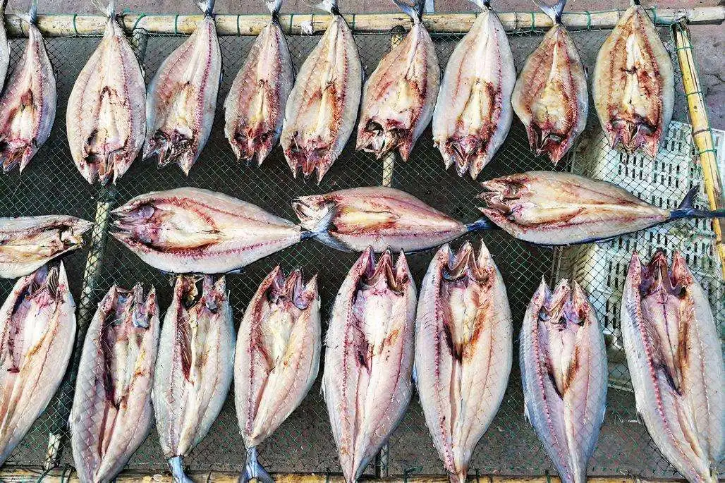  Тепловая сушилка для крупных сельскохозяйственных продуктов мяса консервированных рыб 15