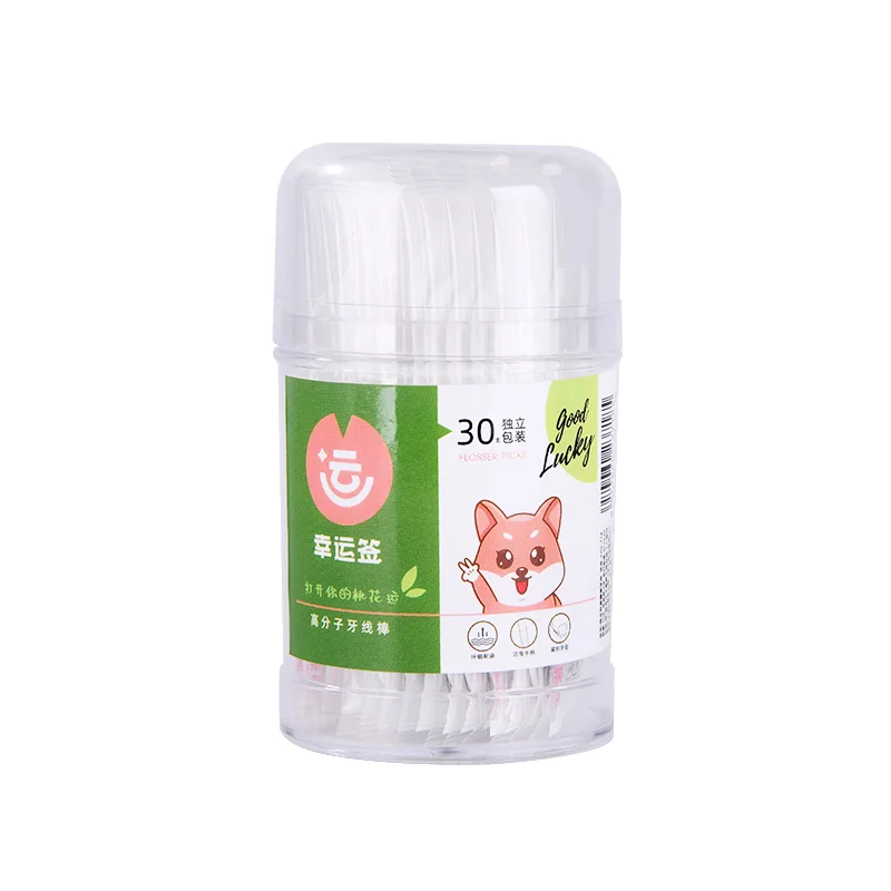 Private Label Eco Friendly Dental Flosser Toothpick Pick Plastic with 30pcs portable individual packaging OEM Customized