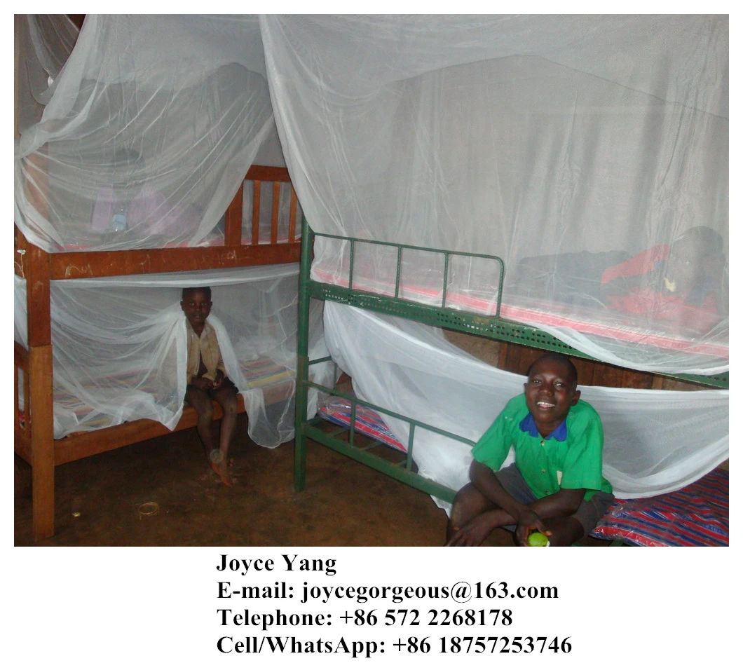 Low Price Long Lasting Insecticide Treated Mosquito Nets/Export to Uganda Africa/ WHO approved mosquito net