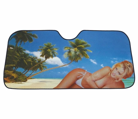 New process visor car interior suction cup type sun side window shading sunscreen heat insulation car sunshade