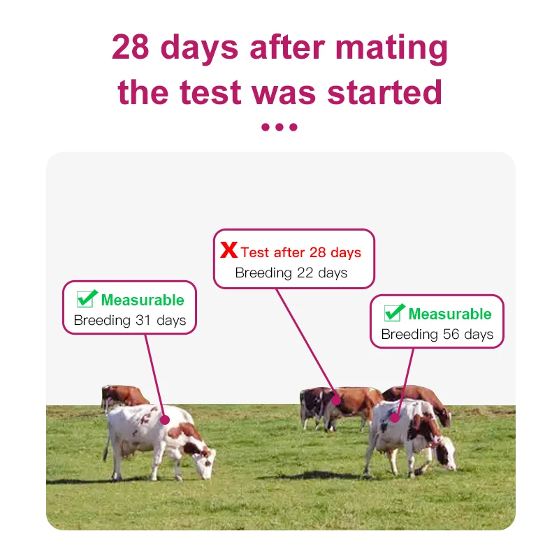 Watarbio SC506 Bovine Cow Cattle Pregnancy Rapid Test Kit