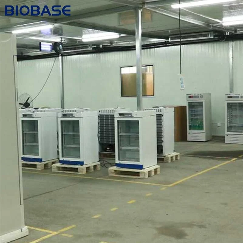 BIOBASE -40 degrees 450L freezer laboratory refrigerator For vaccines blood products medications and other biological samples