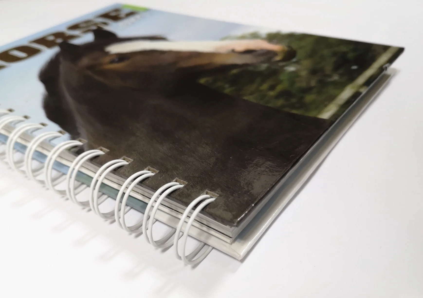 coloring book printing perforation spiral and  custom and children book printing