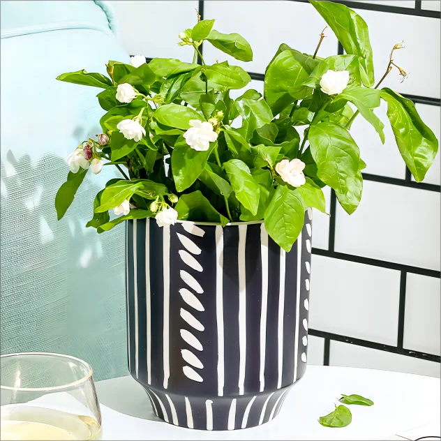 Home decor ceramic porcelain flower vase simple striped decoration vases indoor pots for plants flower