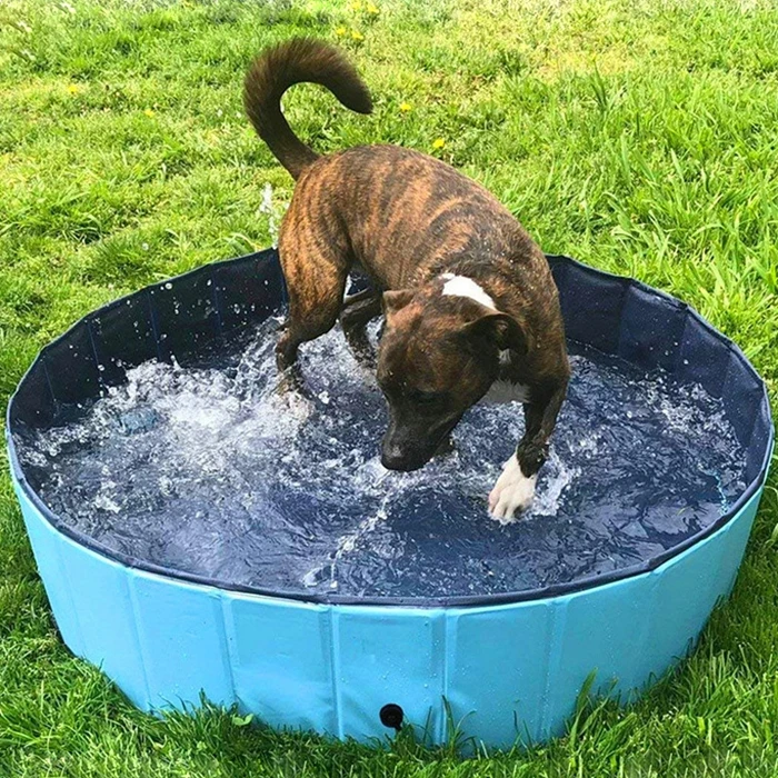 
Dog Foldable Dog Swimming Pool Pet Bath 80*20cm 