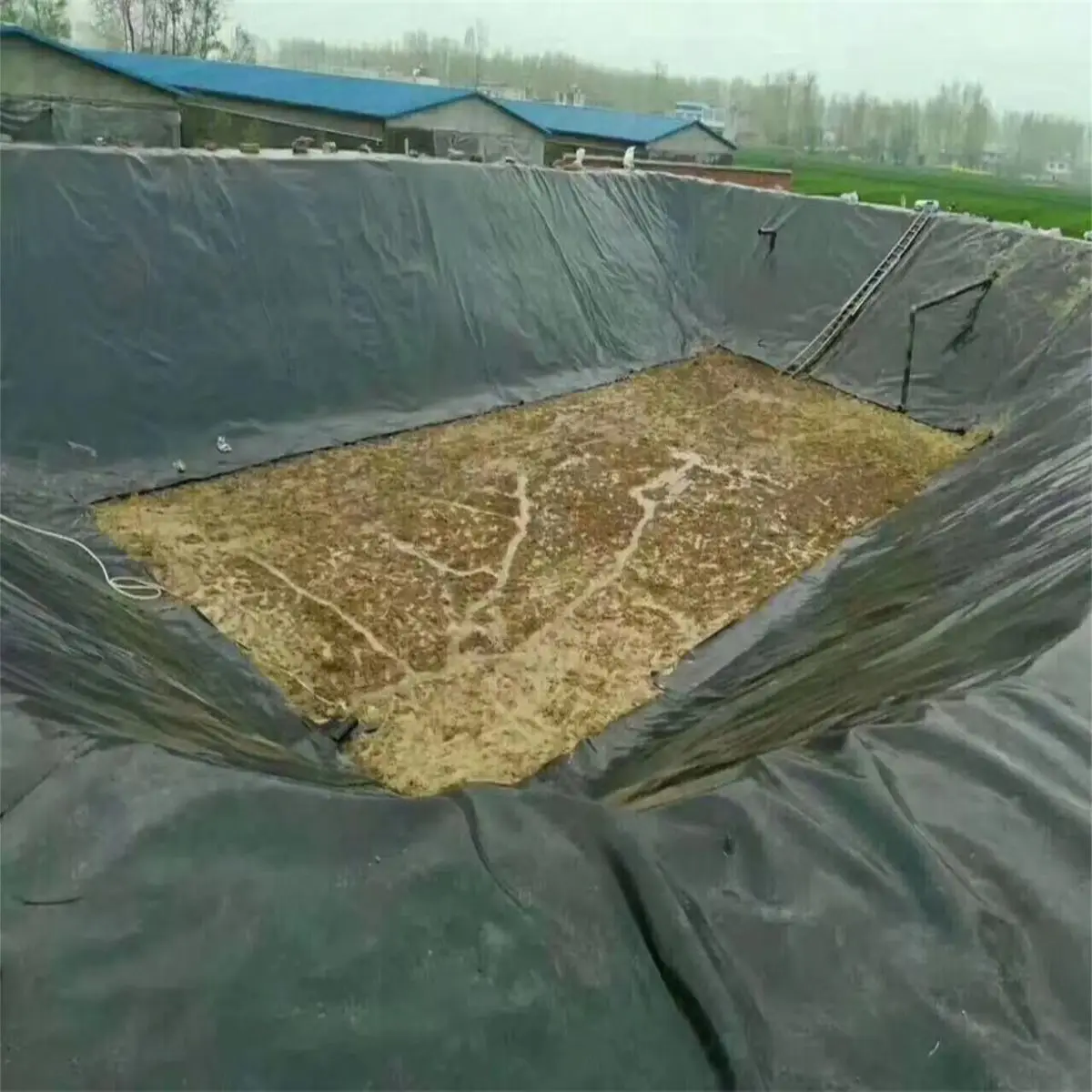 0.5mm HDPE Fish Pond Geomembrane Liner for Fresh Water Shrimp in Tanzania Outdoor project