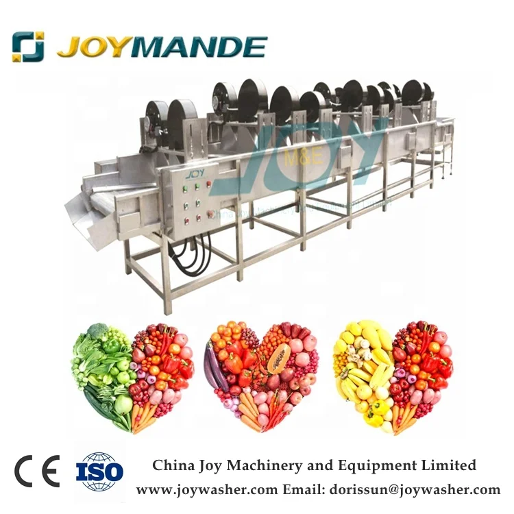 Automatic Vegetable And Fruit Mesh Belt Dryer Conveyor Belt Vegetable Dryer