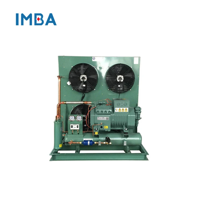 High quality custom remote type cold room refrigeration unit compressor chiller cold room cooler with air cool