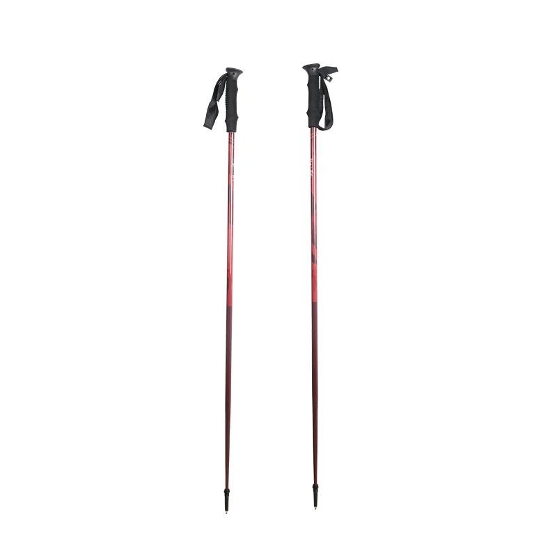 Professional Manufacture Skate 115/120/125cm Ski Poles Aluminium 6061 Cool Ski Poles