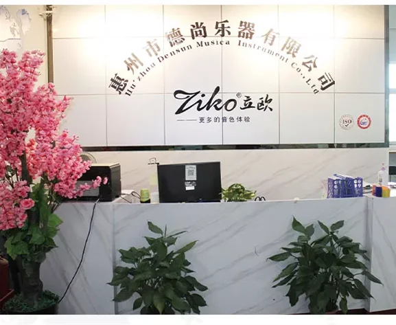 DNF-009 Ziko High-end Electric Guitar Strings Nickel Wire Wound