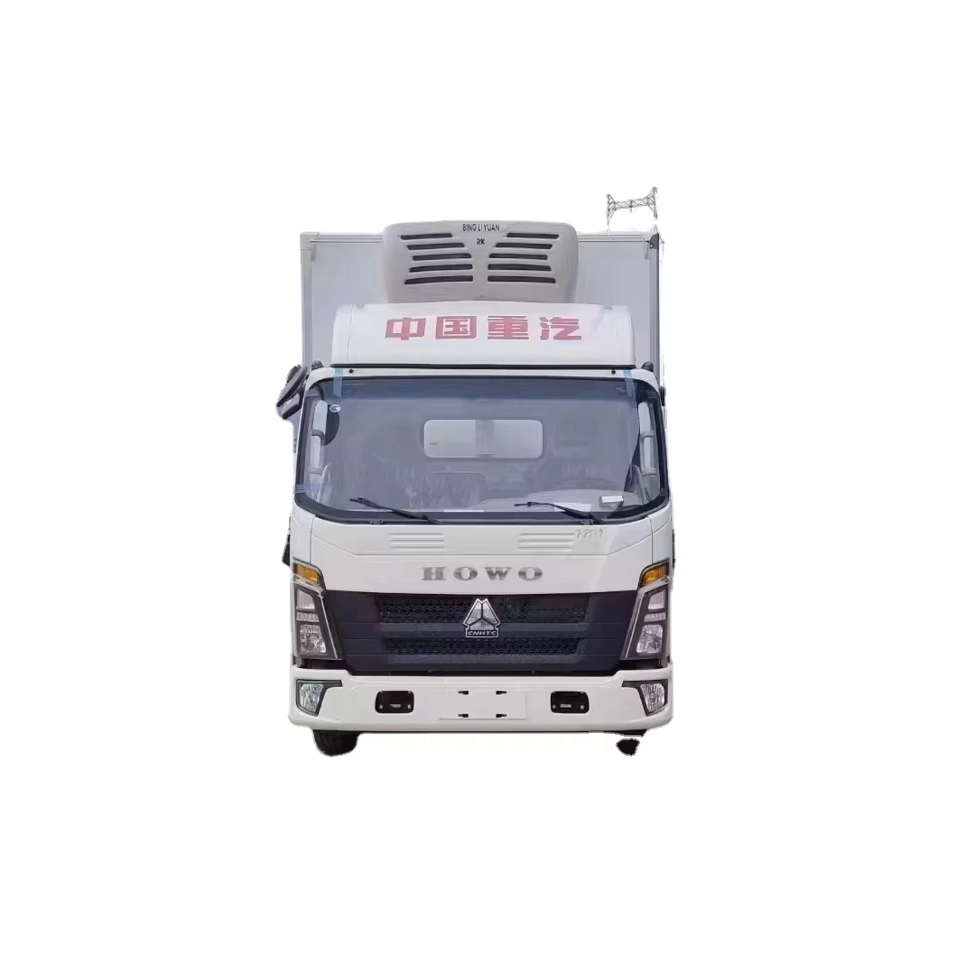 Sinotruk Howo Freezer Truck Small 4*2 Refrigerated Truck 5 Ton Cold Room Van Truck