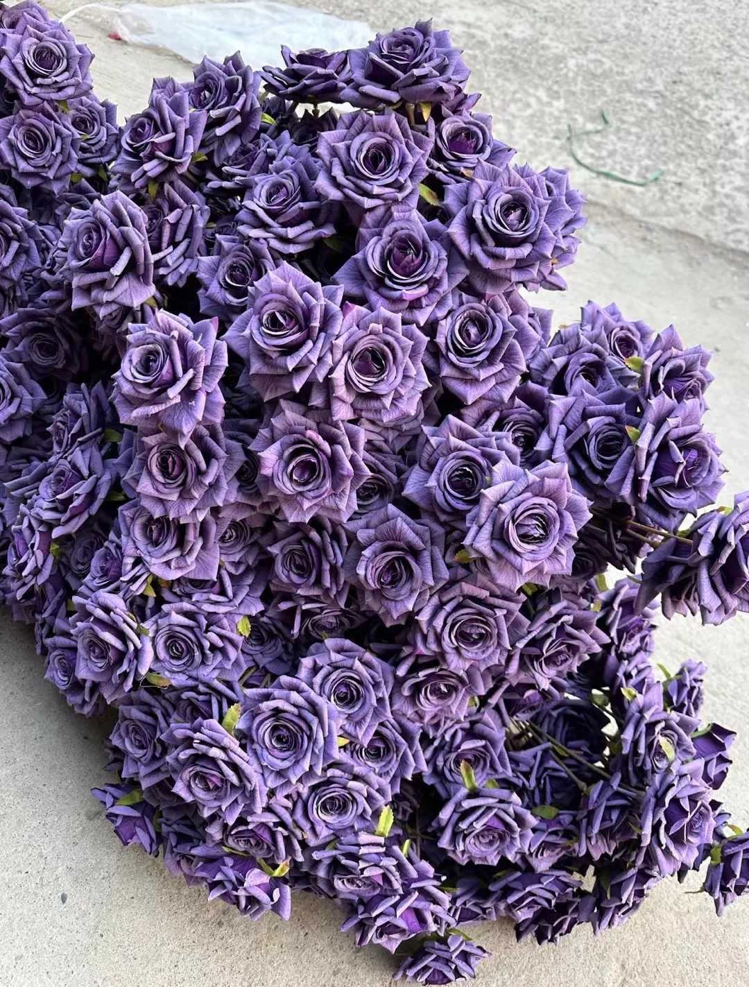 YOPIN-158 Popular Artificial 3 Heads Real Touch White Spray Roses