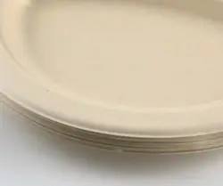 6 7 8 9 10 Inch Heavy-duty Malaysia Paper Plate Biodegradable Eco-friendly Compostable Paper Plate Raw Material For Buffet