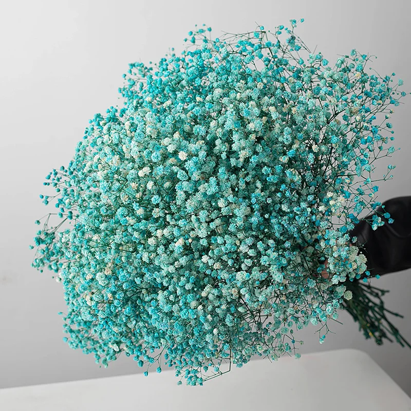 ZanTe 2022 big bunch real touch wedding cream white dried nature preserved baby breath Gypsophila Paniculata babybreath flowers