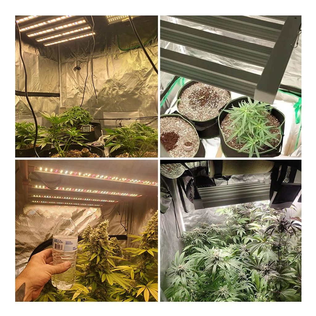 High Quality Grow Light With Driver Full Spectrum IP65 Waterproof LED Grow Light For Indoor Plants Hydroponic From China Factory