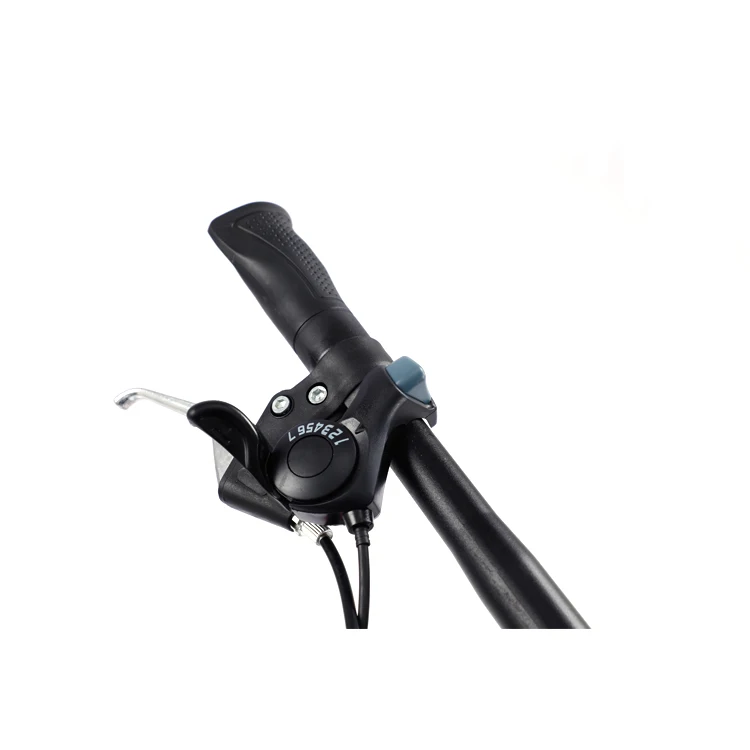 folding bike22.jpg