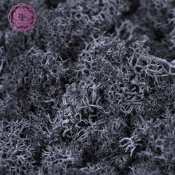 High quality China natural moss wall eternal dried preserved moss