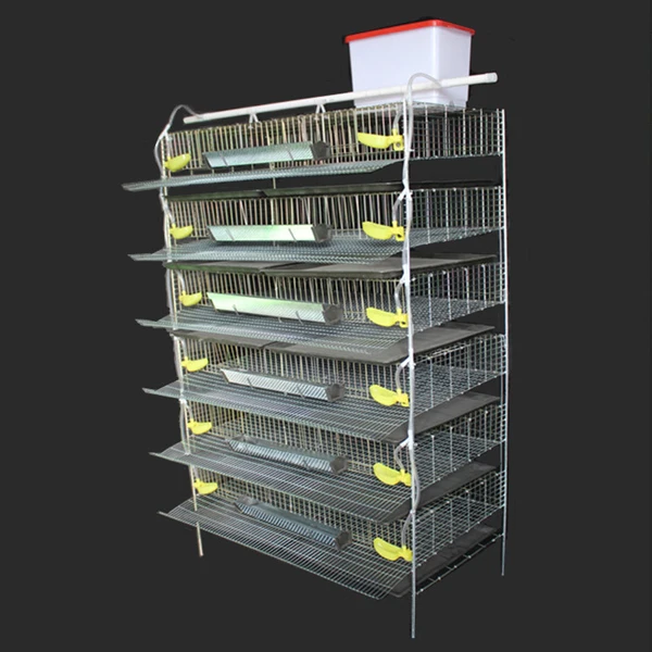 Layer Chicken Battery Cage/Quail Cage Layer Quails