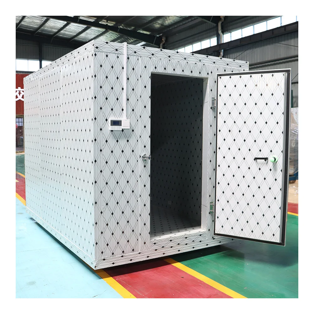 Walk In Freezer Storage Fast Refrigeration High-Efficiency Quick Freezing Cold Room For Vegetable