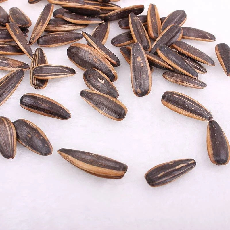 Sun Flower China Max Black Bag White Long Style Packaging Color Woven Raw Origin sunflower seeds