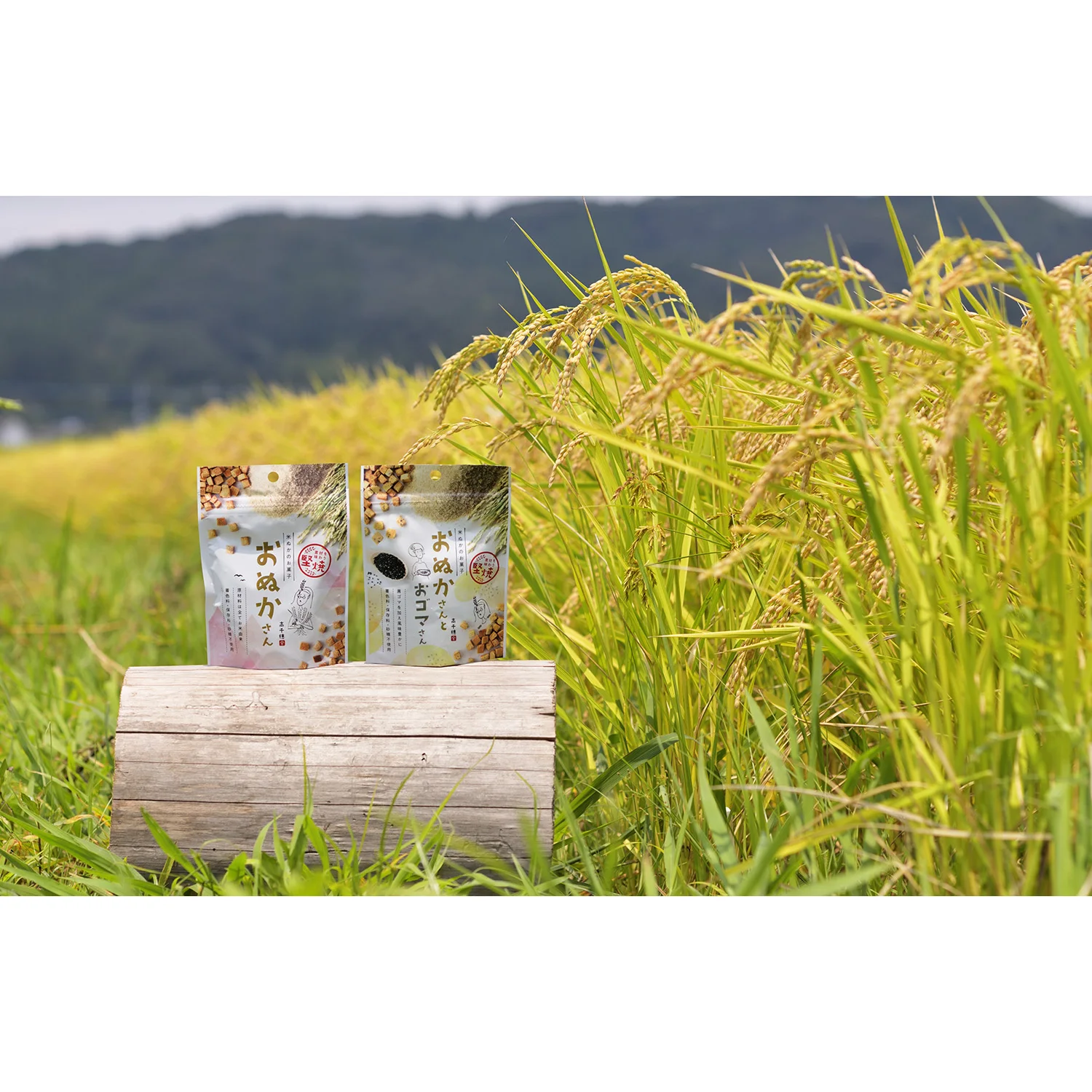 Japanese healthy snacks for kids to improve intestinal environment