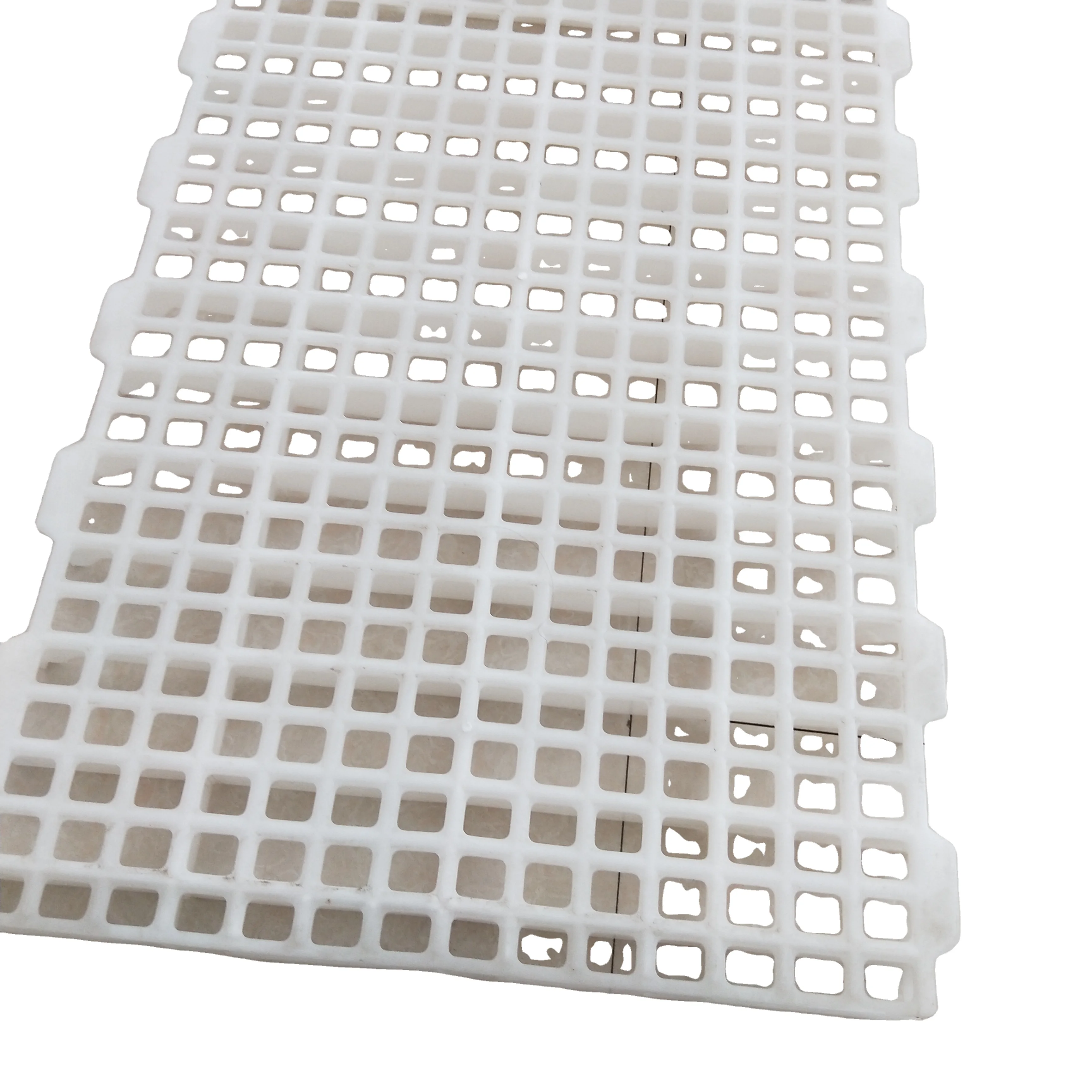 Plastic Floor Slat For Chicken and Duck Pig House in Poultry Farm